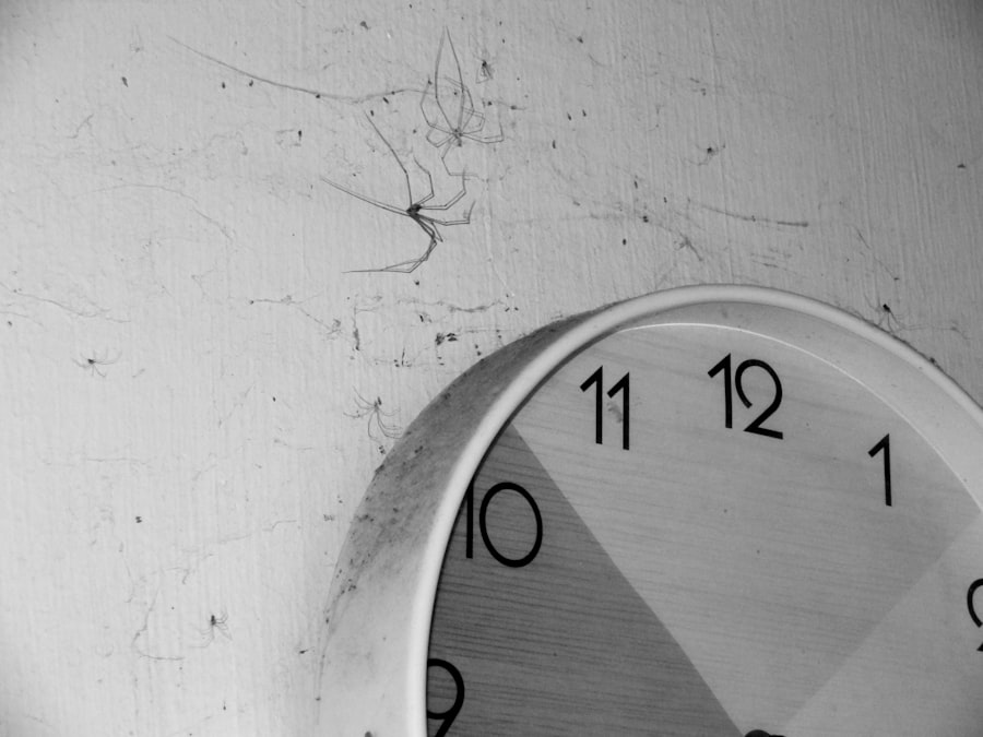 Photo Circadian Rhythms