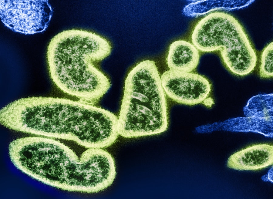 Photo Biotoxin Illness